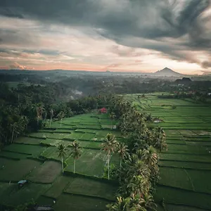 Pensjonat Ayu Duwur Beji ***